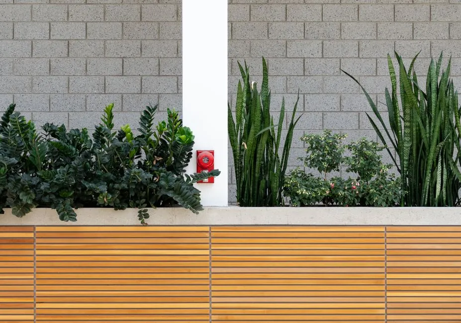 Aménagement paysager – création de jardin architecturé